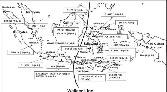 Fig. 1. Sampling sites in Indonesia.  Numbers in parentheses indicate the number of samples collected from each site
