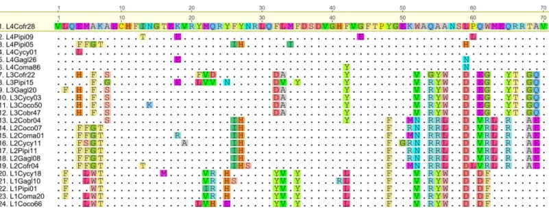 Fig 2. Amino acid alignment of representative sequences from each of six supported MHC IIB lineages