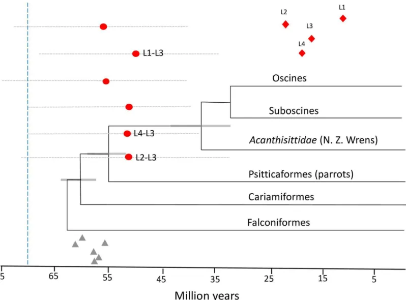 Fig 3. MCMC simulations performed in BEAST v. 2.0 using the zebra finch adjusted mutation rate