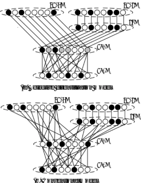 Fig. 3 Architecture of the hippocampal models