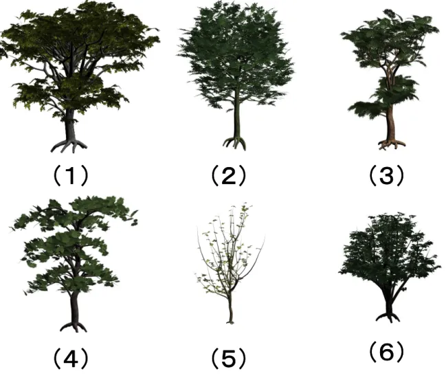 図 5.3  5.3  5.3  5.3  使用 使用した 使用 使用 した３ した した ３ ３D ３ D D D モデル（ モデル モデル モデル （ （ （DOUSCH DESIGN DOUSCH DESIGN DOUSCH DESIGN DOUSCH DESIGN 社  社 社 社    Trees &amp; Conifers V3 Trees &amp; Conifers V3 Trees &amp; Conifers V3 Trees &amp; Conifers V3） ） ）  ）