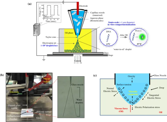 Figure  1.3:  Immersed  super-fine  electrospray  based  miniaturized  in  vitro  compartmentalization
