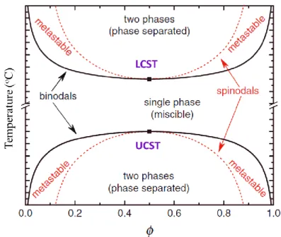 Figure 1.3 Phase diagram showing LCST and UCST behavior for blend systems. 