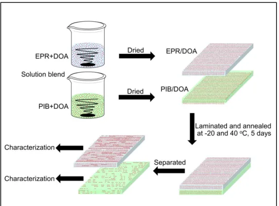 Figure 2.1 Schematic illustration of experimental procedure. 