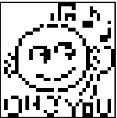 図 6.3: 検出した 32 × 32 の bitmap 画像