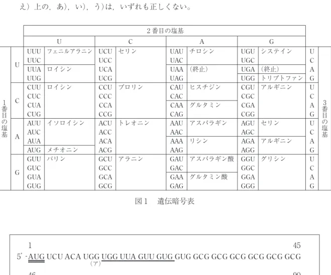 図 遺伝暗号表