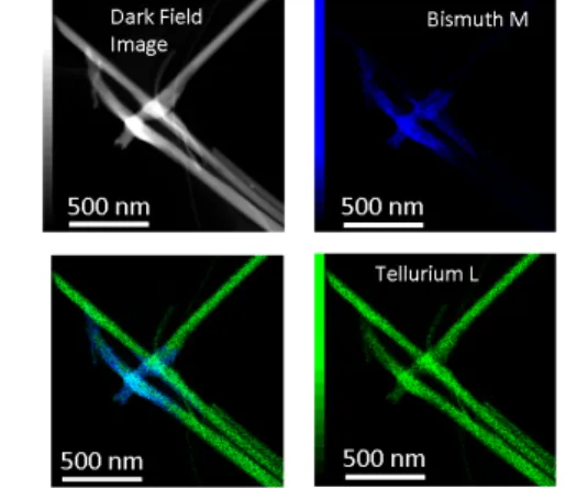 Fig.  2  EDS  elemental  mapping  images  of  Bi-Te  nanowires (NWs)  (2) (Bi,Sb) 2 Te 3 熱 電 ナ ノ 粒 子 の 化 学 合 成     Bi-Sb-Te ナノ粒子の生成・成長メカニズム に基づき、単相の(Bi,Sb) 2 Te 3 熱電ナノワイヤ をワンポットで合成することに成功した（Fig