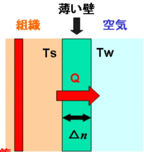 図 2.3: 熱伝導モデル