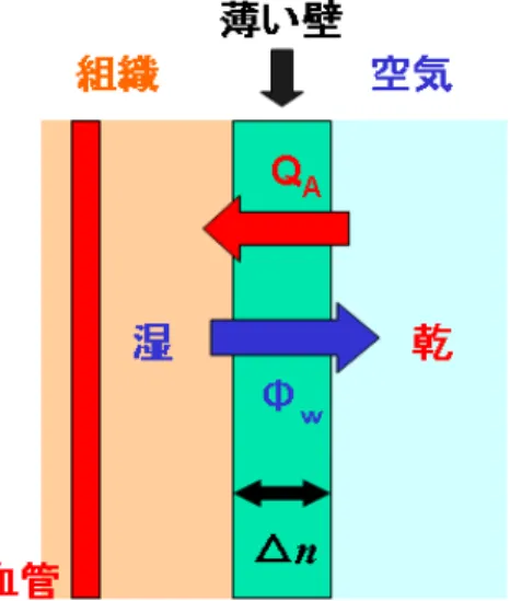 図 2.5: 蒸発熱モデル