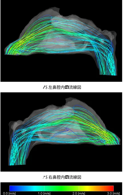 図 4.1: 鼻腔内の流線図