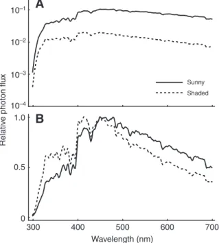 Fig. 2. (A) Logarithmic plots of irradiation spectra measured as the reflection of an MgO-coated surface in direct sunlight (solid line) and in the shade (dotted line)