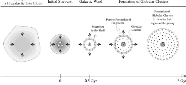 Fig. 1.—Schematic illustration of the initial starburst-driven formation of globular clusters