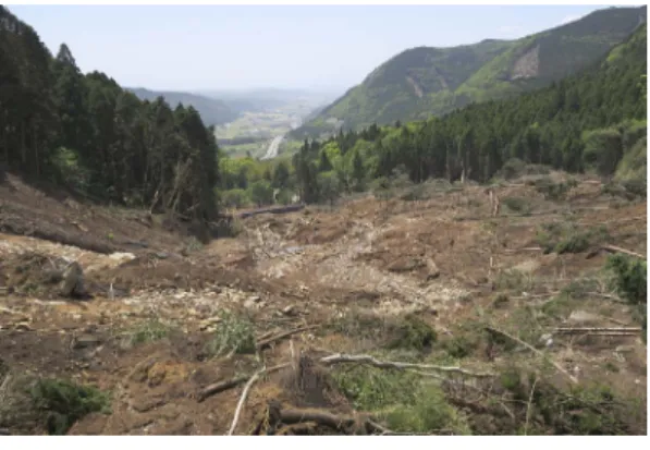 Fig. 2　 Landslides  on  the  northwestern  wall  of  Aso  caldera at Kario, Aso City.