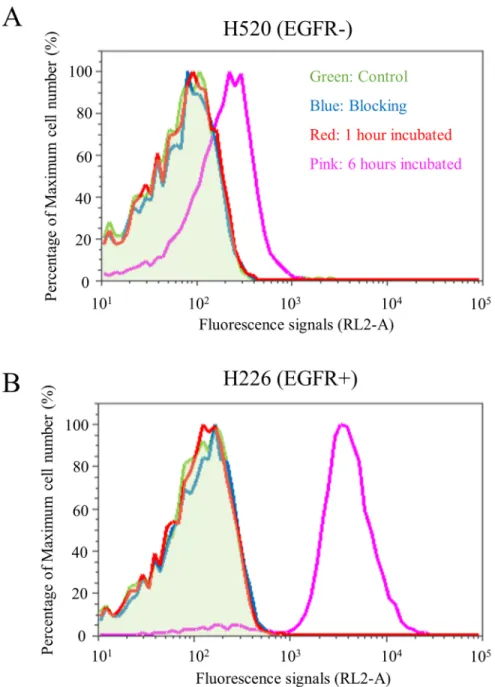 Fig 2. Flow cytometry analysis of H520 and H226 cell lines binding to Pan-ICG. In vitro cell experiment with flow cytometry showed (A) non-specific weak binding of Pan-ICG to EGFR- cell line at 6 hours and (B) specific binding of Pan-ICG to EGFR+ cell line