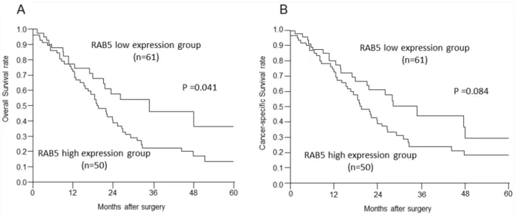 Figure 2: Relationships between postoperative survival and RAB5 and E-cadherin expression