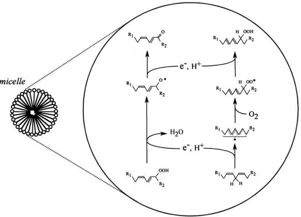 Figure 6 Click here to access/download;Figure/Table;Figure 6.TIF