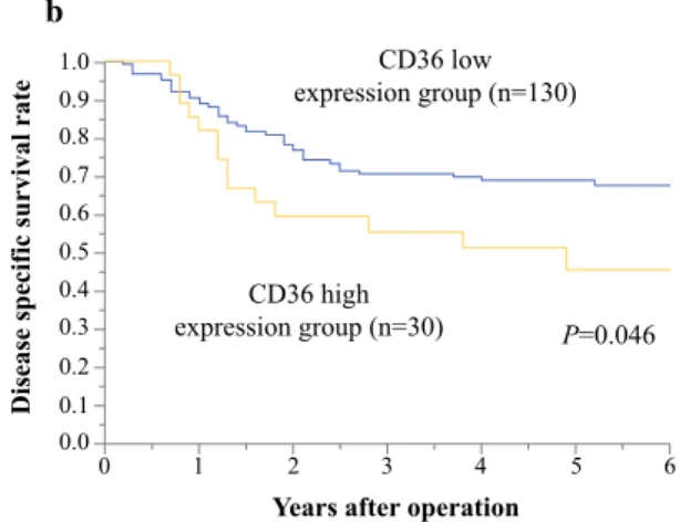 TABLE 2 Results of univariate and multivariate analyses of clinicopathological factors affecting overall survival rates following surgery
