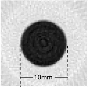 Figure 11  PMMA50-60 keV の CT 画像 