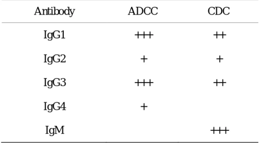 Table A. Immune effector functions of human immunoglobulin isotypes  Antibody  ADCC  CDC  IgG1  IgG2  IgG3  IgG4  IgM  +++ + +++ + −  ++ + ++ −  +++  Cancer Immunotherapy 