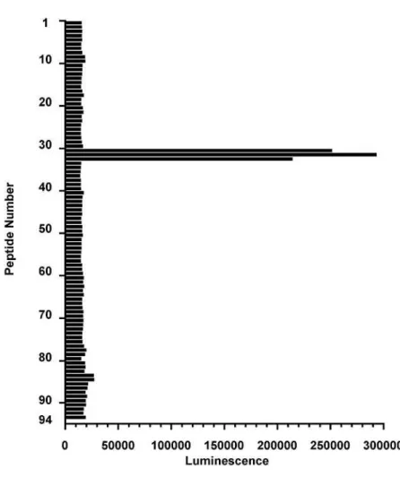 Figure 1-1 (b).    Delineation of the HD8 epitope on HLA-DR 
