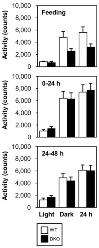 Figure 2. Locomotor activity is comparable between WT and DKO mice. Locomotor activity was measured during feeding and fasting (0–24 and 24–48 hr)