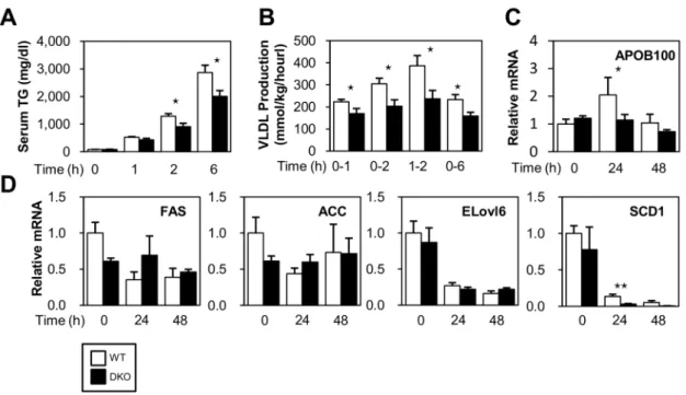 Figure 4. VLDL secretion is reduced in DKO mice after fasting. (A) Serum levels of TG were measured at the indicated time points after an intravenous injection of triton WR 1339 (500 mg/kg)