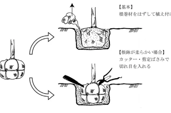 図  4-15  根巻材処理の模式図 