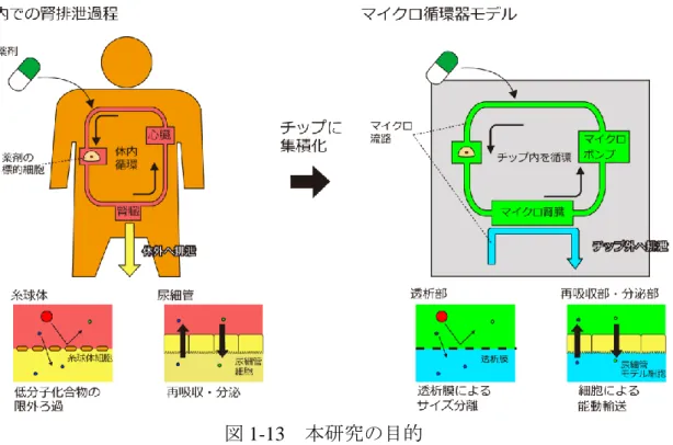 図 1-13   本研究の目的