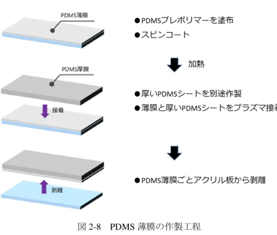 図 2-8 PDMS 薄膜の作製工程