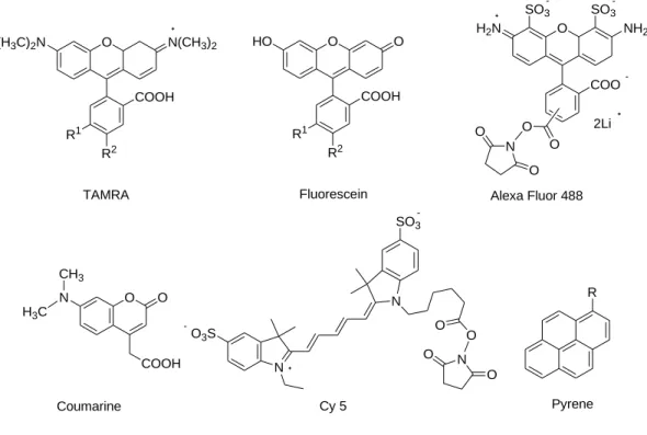 Figure 1.7: Frequently used fluorescent labelling agent for designing fluorogenic probes 