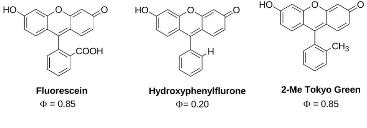 Figure 1.14: Structure of Fluorescein and its substituted derivatives with quantum yield  [cited from ref