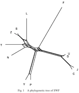 Fig. 1   A phylogenetic tree of SWF 