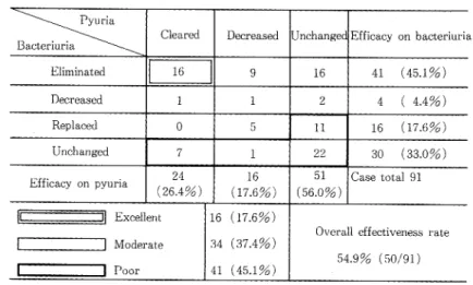 Table  19  Overall  clinical  efficacy  of  HAPA-B  in  complicated  U.T.I.