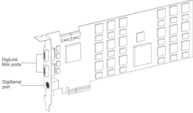 Figure 1.  HDX PCIe cardDigiLink 