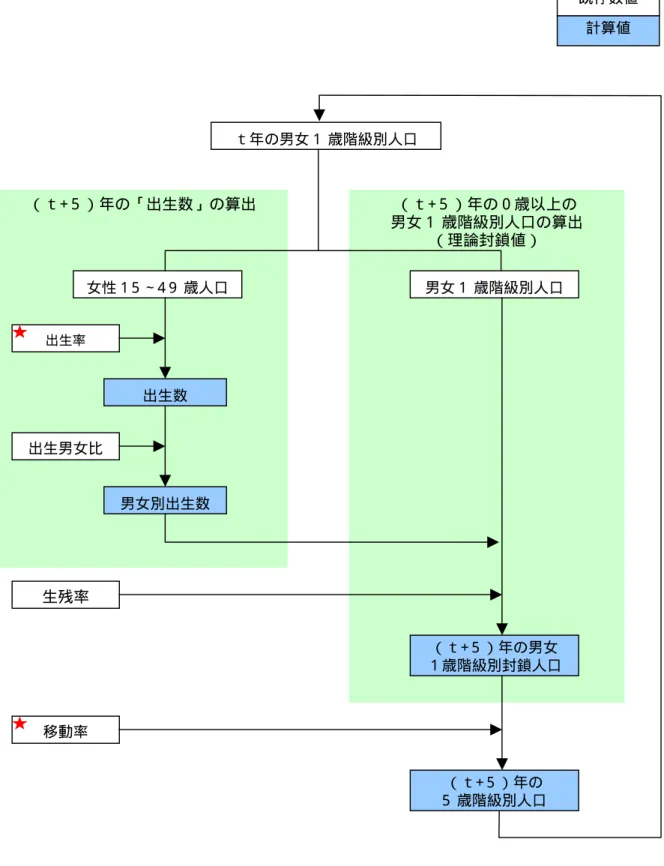 図 1- 3  コ ーホート 要因法のフ ロー  既存数値  計算値  （ｔ+５）年の  5 歳階級別人口  （ｔ+５）年の男女  １歳階級別封鎖人口 生残率 男女 1 歳階級別人口 男女別出生数 出生男女比 出生率 出生数 女性 1 5 ∼4 9歳人口  （ｔ+５）年の０歳以上の 男女 1 歳階級別人口の算出 （理論封鎖値） （ｔ+５）年の「出生数」の算出 ｔ年の男女 1歳階級別人口 移動率  （注）★は任意の設定を要するもの  7