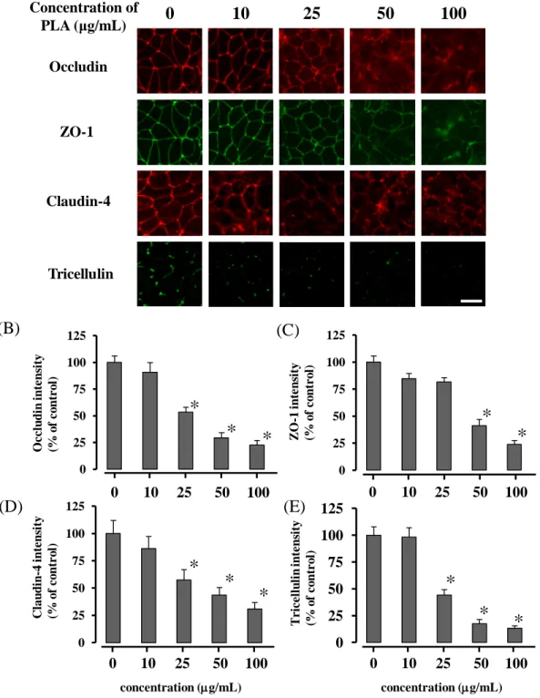 Fig. 7  Effects of the PLA concentration on the distribution of tight junction proteins in  Caco-2 cell monolayers 120 min after treatment with PLA 