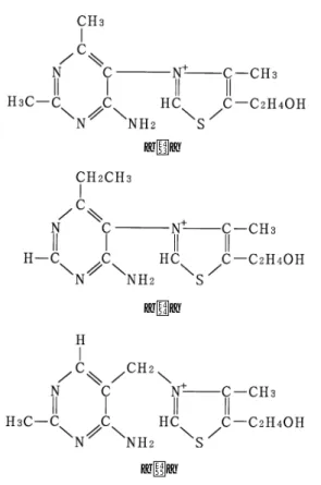図 2. ビタミン B にたいして提出された化学構造．