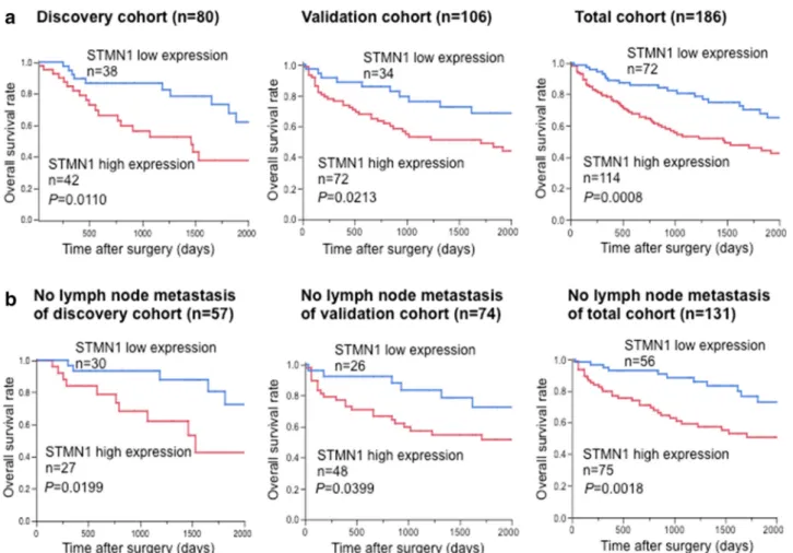 FIG. 2 Survival analysis of 186 lung squamous cell carcinoma (LSCC) patients according to the expression level of cytoplasmic STMN1