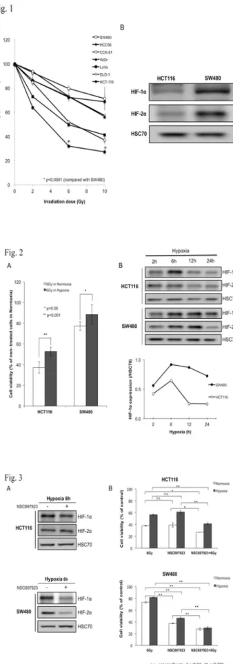 Fig.  1  Radiation  sensitivity  in  CRC  cell  lines  under  normoxia  environment.  a  Cell  viability  in  various  CRC  cell  lines