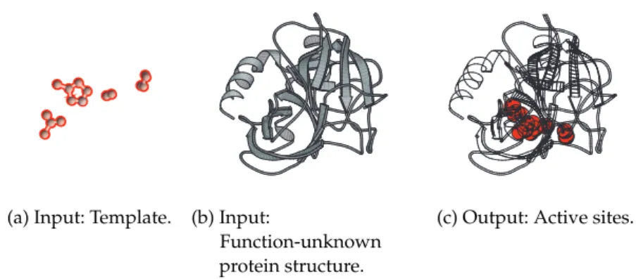 Figure 4.1: The active site search problem. In this problem, the inputs are a template and a function-unknown protein structure, and the output is a set of active sites in the protein structure