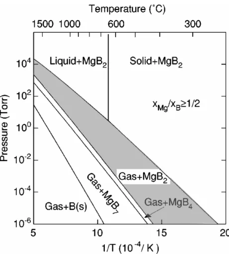 図 4-2.  温度 -Mg 分圧の熱平衡相図   [4]  この相図で“Gas+MgB 2 ”と示された領域が、MgB 2 相を安定して形成できる条 件である。相平衡理論に基づくと、この領域においては、過剰な Mg は蒸発し MgB 2 表面に残らないため、自動的に組成が制御され化学量論組成（ストイキオメトリ）の MgB 2 相が形成される。一方、 Mg 供給の過不足によって相安定領域から逸脱した場合、 Mg 分圧が不足すると MgB 4 、 MgB 7 相が形成され、逆に過剰な Mg 分圧では Mg 固