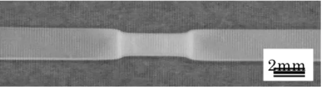 Fig. 1 An MSC film slowly crystallized from melt and drawn at room temperature. 