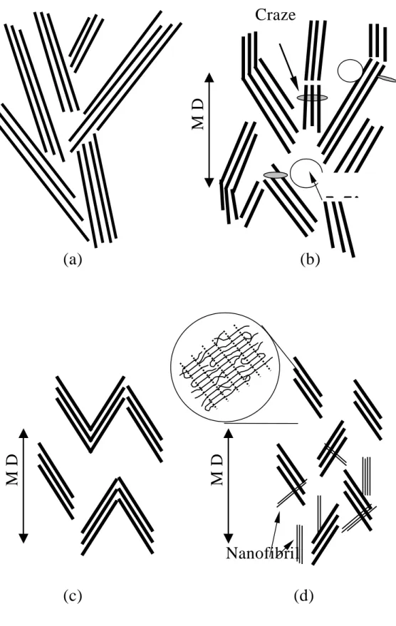 Fig.  9  Schematic  illustrations  for  deformation  of  the  entity  of  MSC  film,  corresponding  to  TEM  micrographs shown in Fig