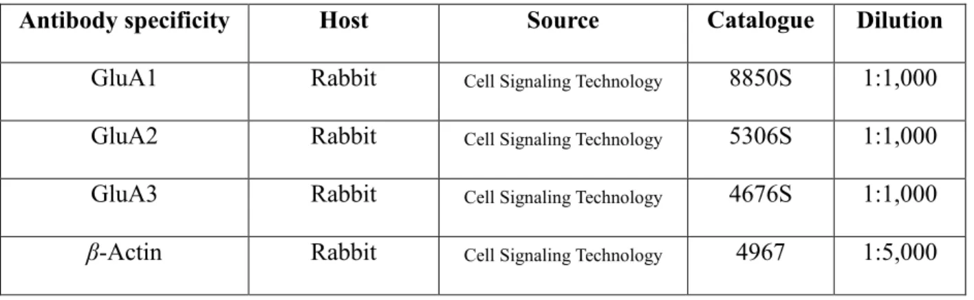 Table 2: Antibodies used in the Western Blot 