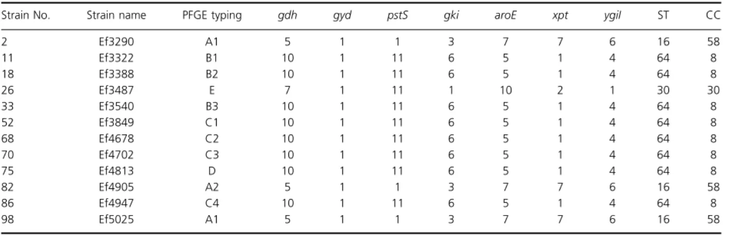 Table 4. MLST of the representative multidrug (TC/EM/SM/KM/GM) resistant E. faecalis isolates