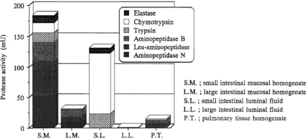 Fig. 5. Net Activities of Various Proteases along the Intestine and Lung of Rats