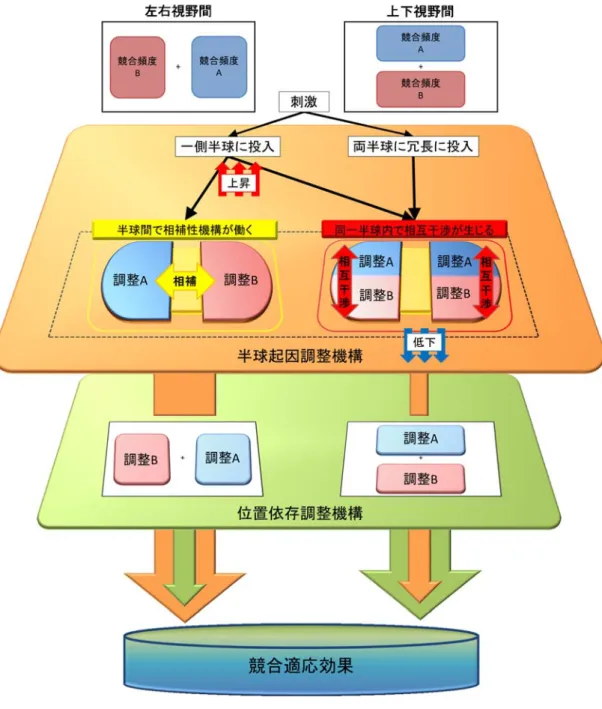 図 5-1.   視覚情報選択性の調整における提案モデル