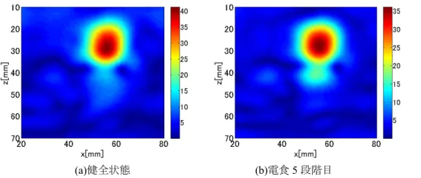 Fig.  5-4-5(a)、(b)に健全状態、電食 5 段階目の無変調成分のマイグレーション後の断面イ