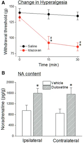 Figure 1.  Effects of 3 daily injections of duloxetine on hindpaw  withdrawal thresholds ipsilateral (A) or contralateral (B) to the site  of the SNL