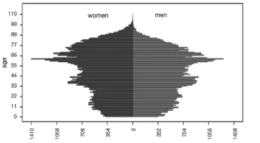 Figure 1-5. Population Pyramid of Kiryu City  [5]